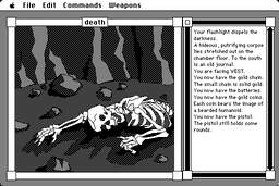 Ray's Maze (Series) screenshot #1